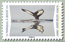 Image du timbre Rorqual à bosse