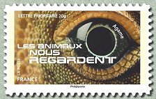 Image du timbre Agame
