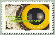 Image du timbre Petit duc de Grant
