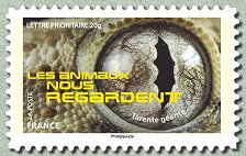 Image du timbre Tarente géante