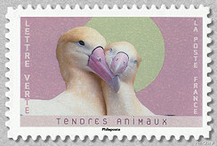 Image du timbre Albatros à queue courte