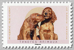 Image du timbre Chiens (setter irlandais)