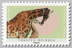 Image du timbre Girafes