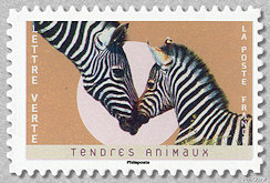 Image du timbre Zèbres