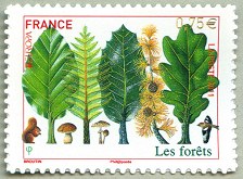 Image du timbre Les forêts - Timbre autoadhésif
