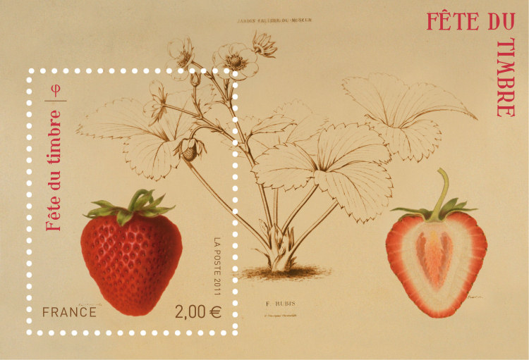 Image du timbre Bloc feuillet « Fraise rubis »-Jardin fruitier du Museum