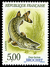 Image du timbre Brochet - Esox lucius