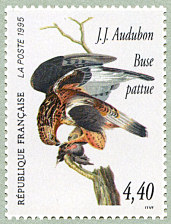 Image du timbre Buse pattue - Buteo lagopus