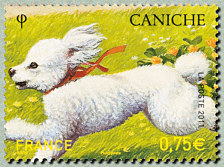 Image du timbre Caniche