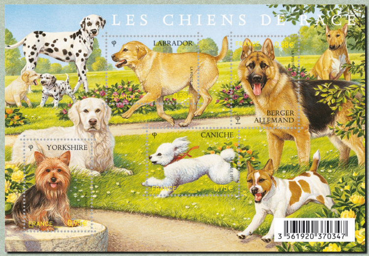 Image du timbre Les chiens de race