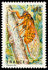 Image du timbre Cigale rouge - Tibicina Hæmatodes