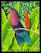 Image du timbre Colibri grenat