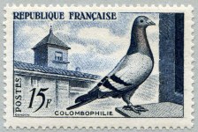 Image du timbre Colombophilie