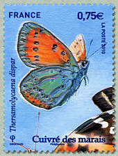 Image du timbre Cuivré des marais - Thersamolycaena dispar
