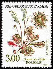 Image du timbre Rossolis ou Drosera rotundifolia