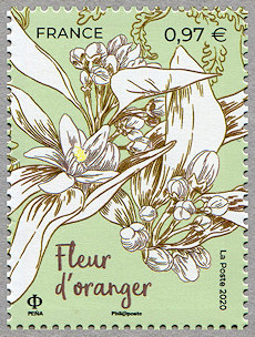 Image du timbre Fleur d'oranger