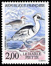 Image du timbre Le Harle PietteMergellus albellus
