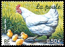 Image du timbre La poule