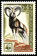 Image du timbre Mouflon méditerranéen