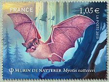 Image du timbre Murin de Natterer - Myotis natterei