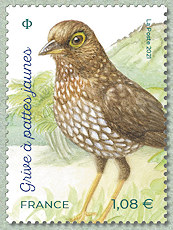 Image du timbre Grive à pattes jaunes