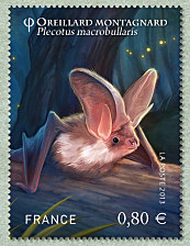 Image du timbre Oreillard montagnard - Plecotus macrobullaris