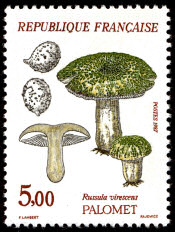 Image du timbre Palomet - Russula virescens