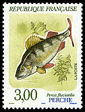 Image du timbre Perche  - Perca fluviatilis