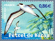 Image du timbre Pétrel de Barau