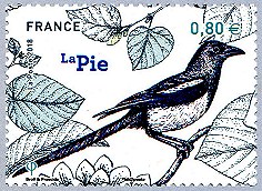 Image du timbre La pie
