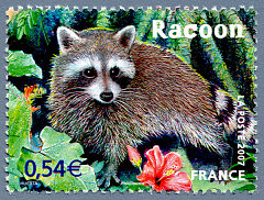 Image du timbre Le Racoon
