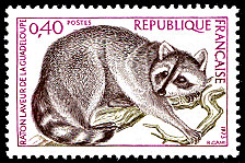 Image du timbre Raton laveur de la Guadeloupe