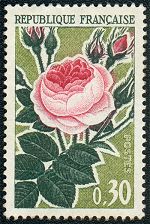 Image du timbre Rose ancienne