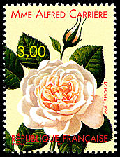Image du timbre Rose «Mme Alfred Carrière» 1879