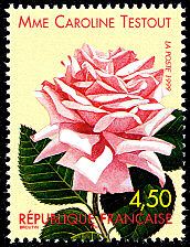 Image du timbre Rose «Mme Caroline Testout» 1890
