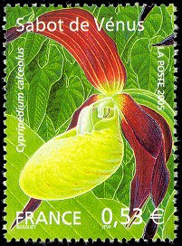 Image du timbre Sabot de VénusCypripedium calceolus