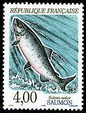 Image du timbre Saumon - Salmo salar
