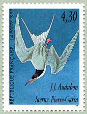 Image du timbre Sterne Pierre-Garin - Sterna hirundo