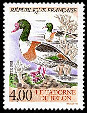 Image du timbre Le Tadorne de BelonTadorna tadorna