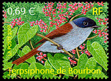 Image du timbre Terpsiphone de Bourbon