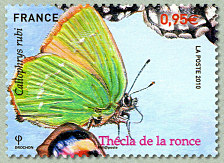 Image du timbre Thécla de la ronce - Callophrys rubi