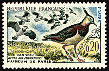 Image du timbre Le Vanneau - Étude des migrationsMuseum de Paris