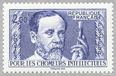 Image du timbre Louis Pasteur 1822-1895 - Le timbre à 2 €