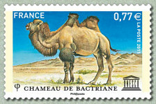 Image du timbre Chameau de Bactriane