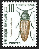 Image du timbre Ampédus cinnabarinus