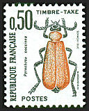 Image du timbre Pyrochroa coccinea