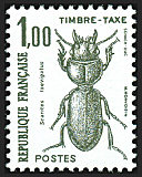 Image du timbre Scaritas Lævigatus