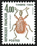 Image du timbre Apoderus coryli