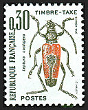 Image du timbre Leptura cordigera ou Lepture porte-coeur
