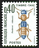 Image du timbre Paederus littoralis ou Staphylin du littoral